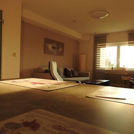 Schoene Gemuetliche Ferienwohnung Mit Fernblick. Nalbach エクステリア 写真